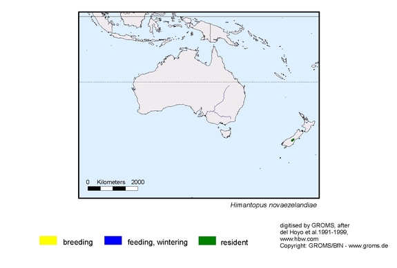 Verbreitungskarte von Himantopus novaezelandiae