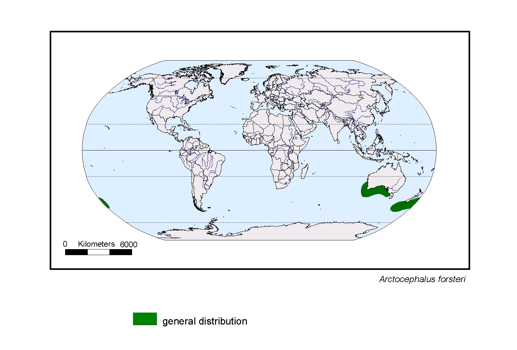 Arctocephalus forsteri