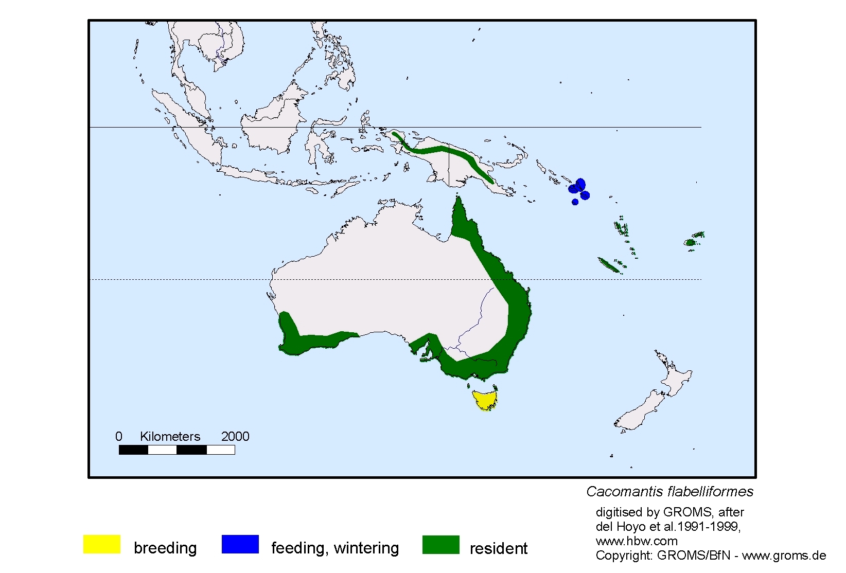 Cacomantis flabelliformes