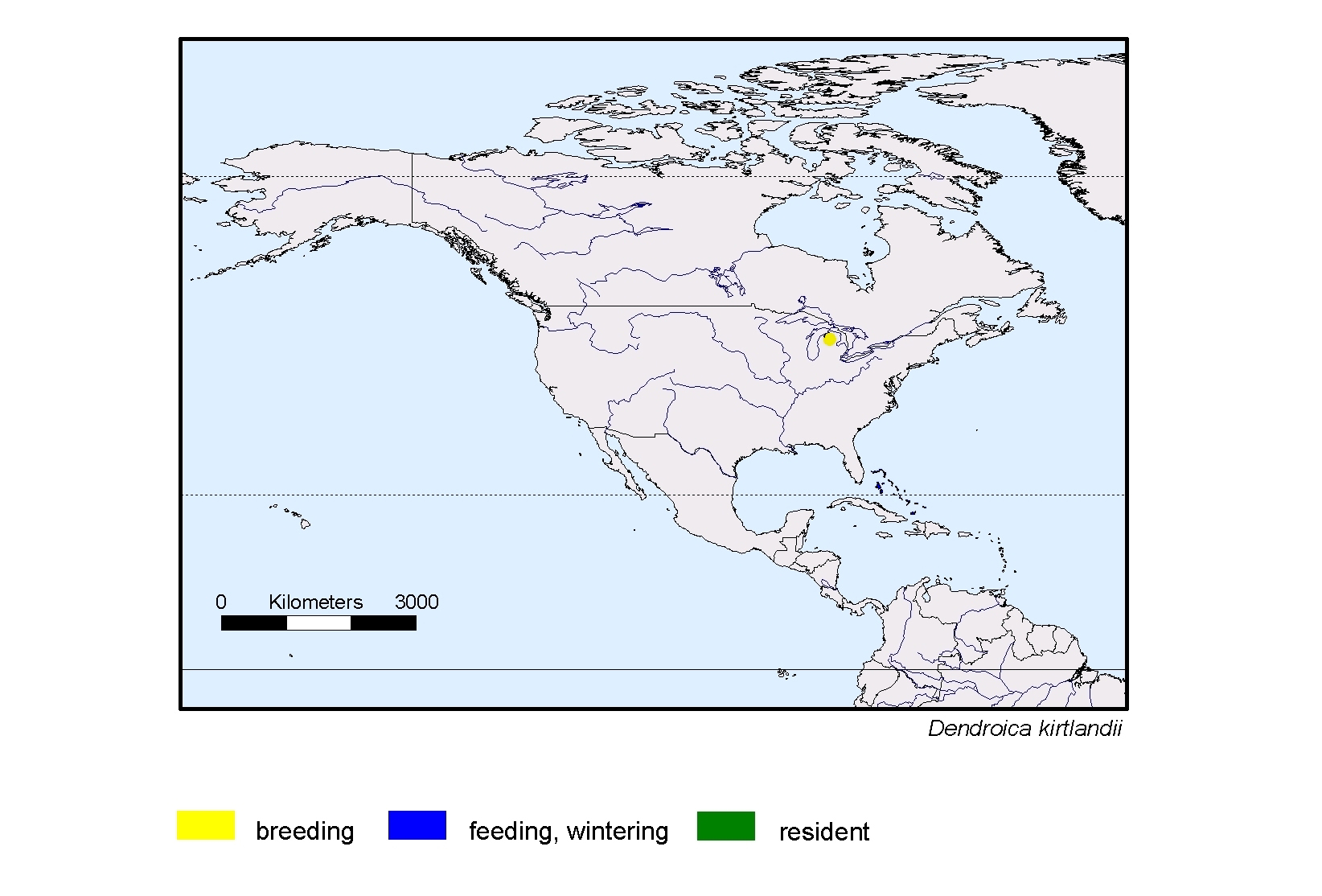 Dendroica kirtlandii