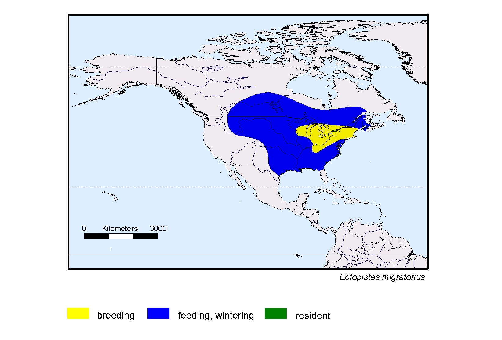 Ectopistes migratorius