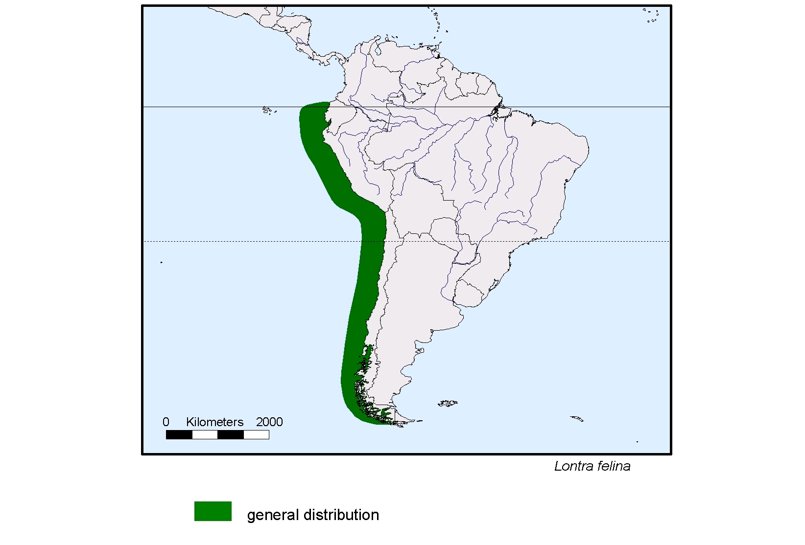 Lontra felina