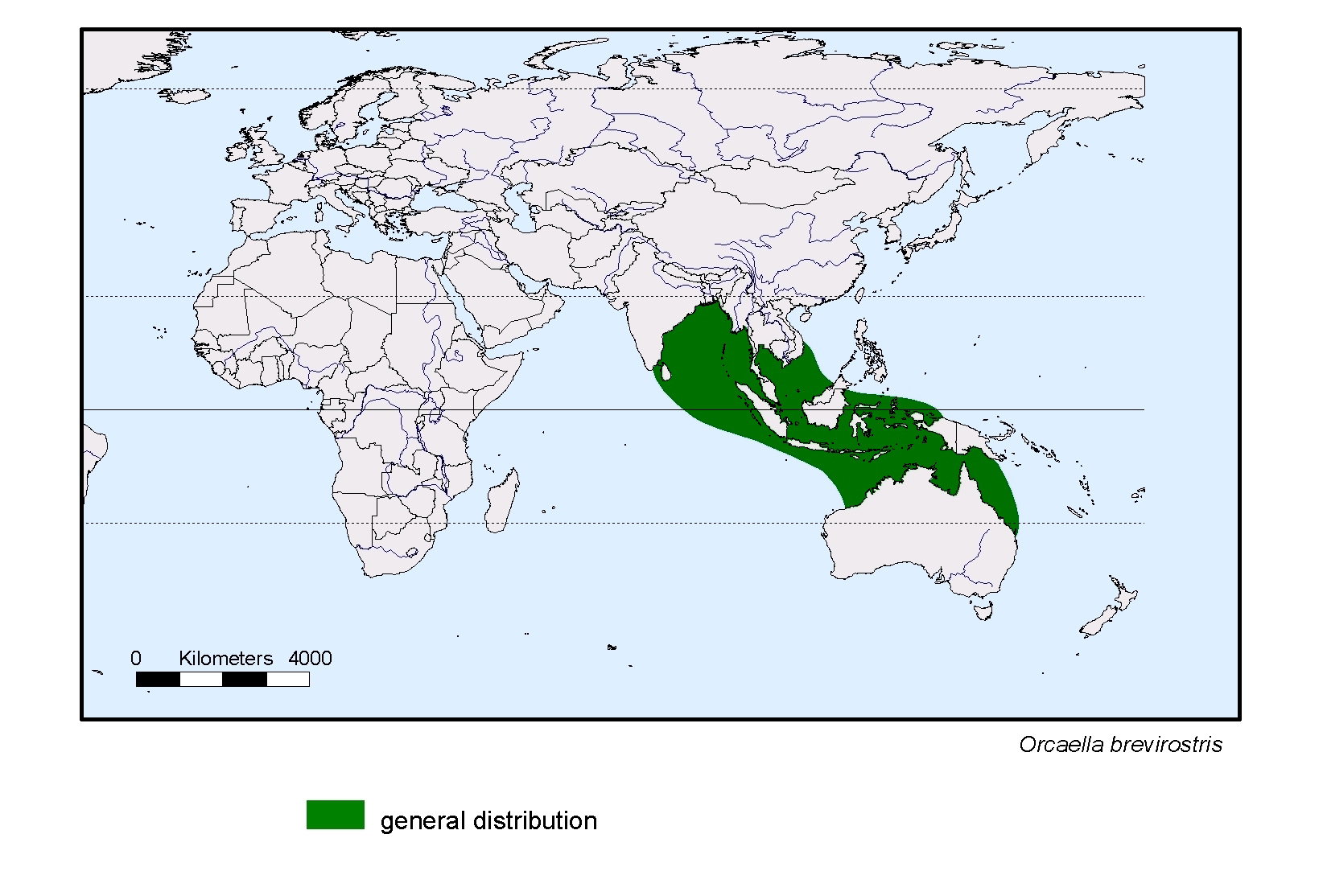 Orcaella brevirostris