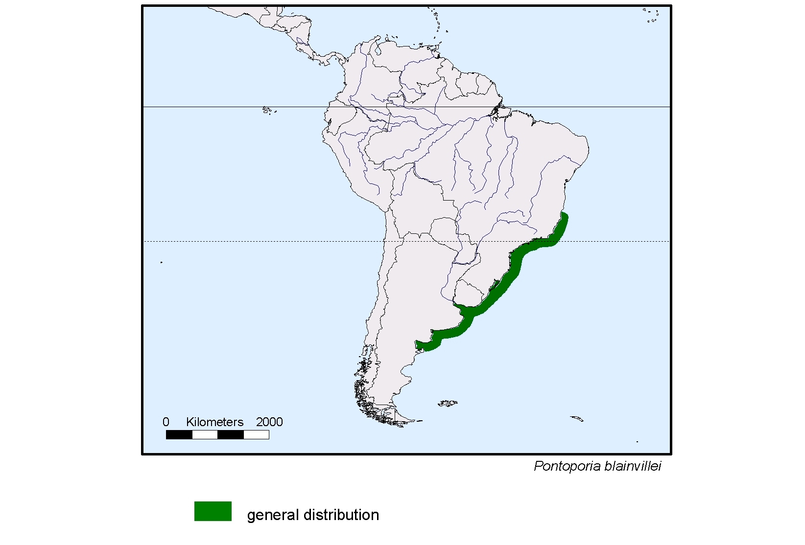 Pontoporia blainvillei