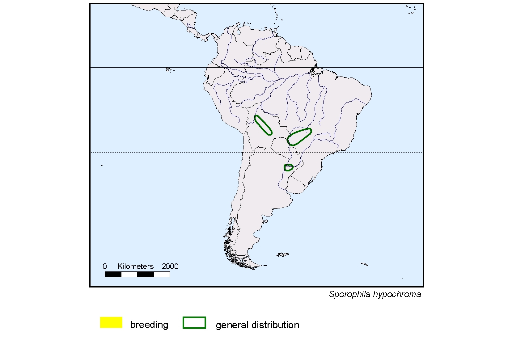 Sporophila hypochroma