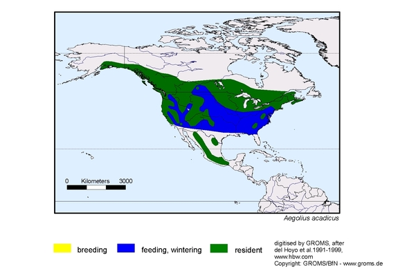 Verbreitungskarte von Aegolius acadicus