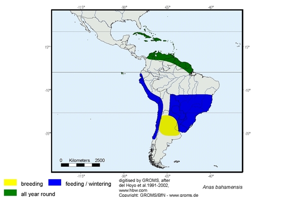 Verbreitungskarte von Anas bahamensis