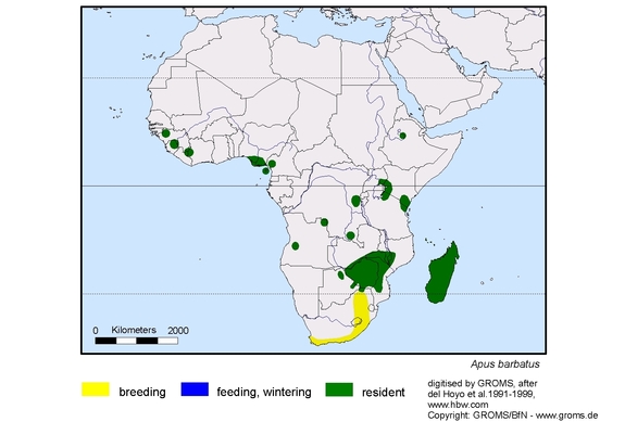Verbreitungskarte von Apus barbatus