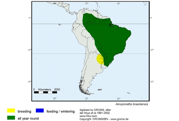 Verbreitungskarte von Amazonetta brasiliensis