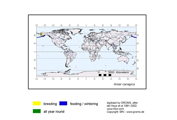 Verbreitungskarte von Anser canagica