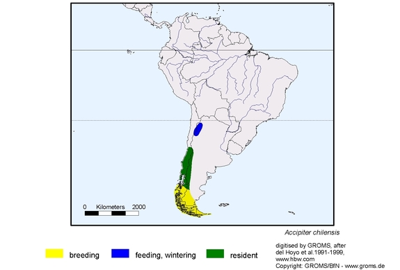 Verbreitungskarte von Accipiter chilensis