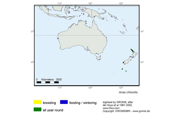 Verbreitungskarte von Anas chlorotis
