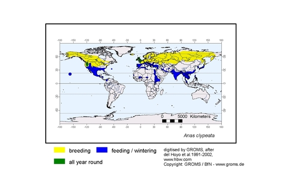 Verbreitungskarte von Anas clypeata