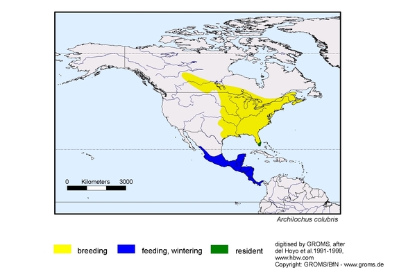 Verbreitungskarte von Archilochus colubris