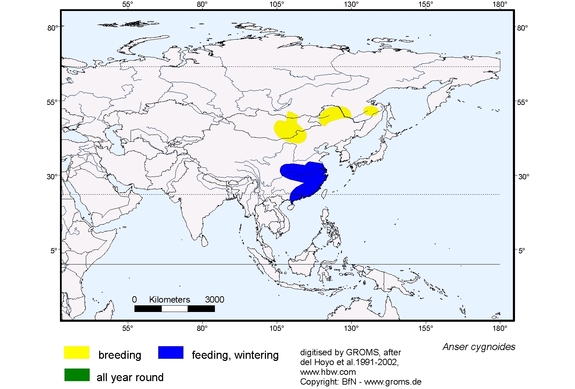 Verbreitungskarte von Anser cygnoides