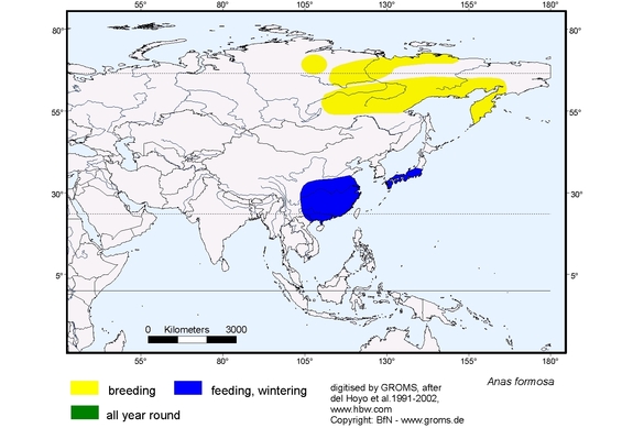 Verbreitungskarte von Anas formosa