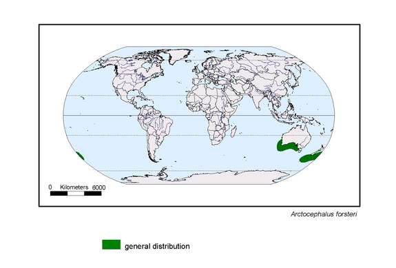 Verbreitungskarte von Arctocephalus forsteri