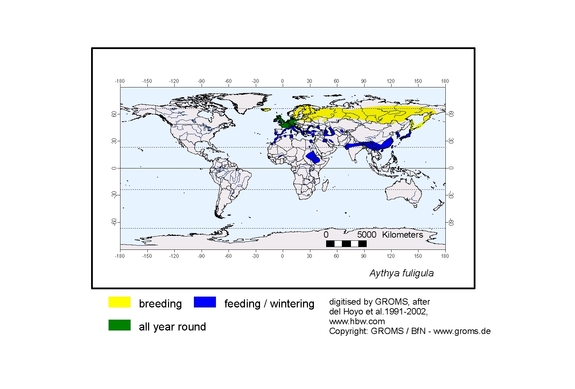 Verbreitungskarte von Aythya fuligula