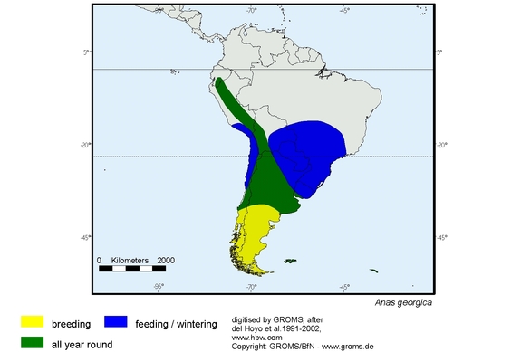 Verbreitungskarte von Anas georgica