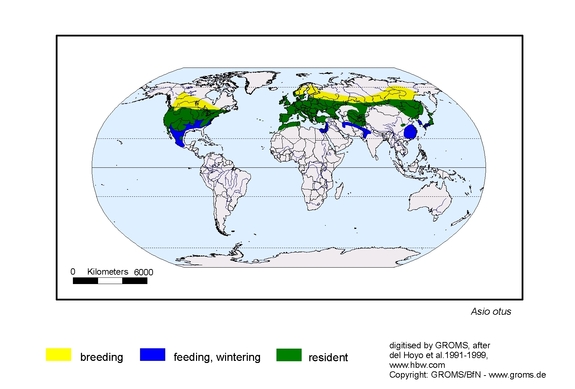 Verbreitungskarte von Asio otus