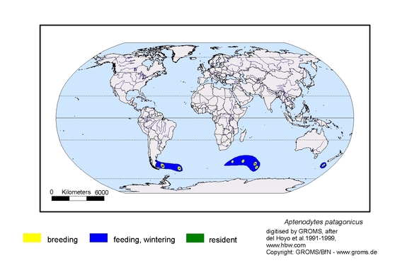 Verbreitungskarte von Aptenodytes patagonicus