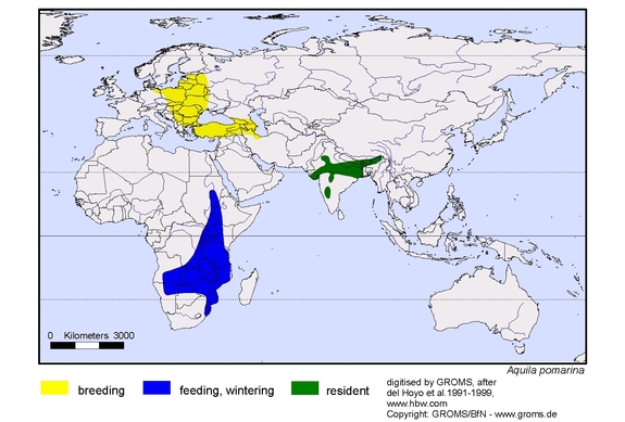 Verbreitungskarte von Aquila pomarina