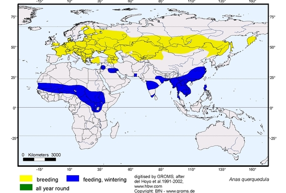 Verbreitungskarte von Anas querquedula