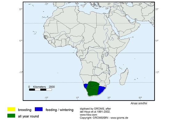 Verbreitungskarte von Anas smithii