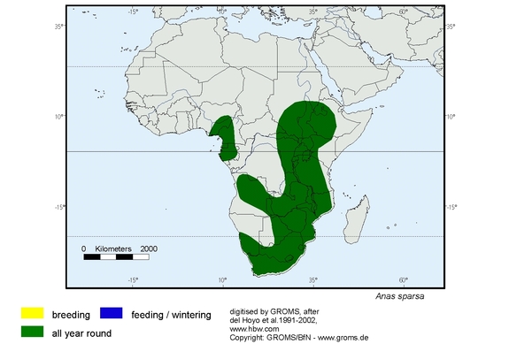 Verbreitungskarte von Anas sparsa