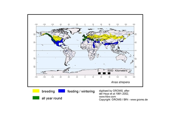 Verbreitungskarte von Anas strepera