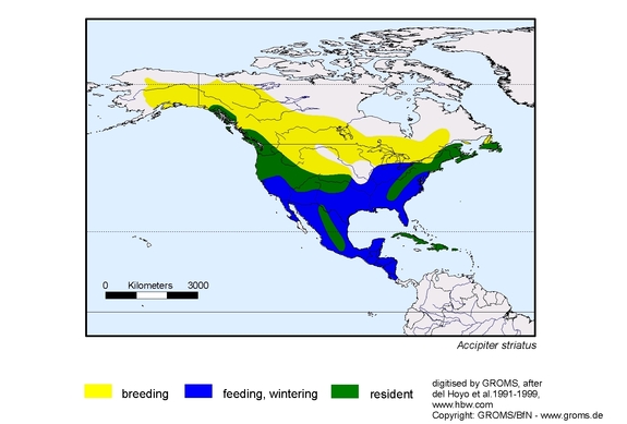 Verbreitungskarte von Accipiter striatus