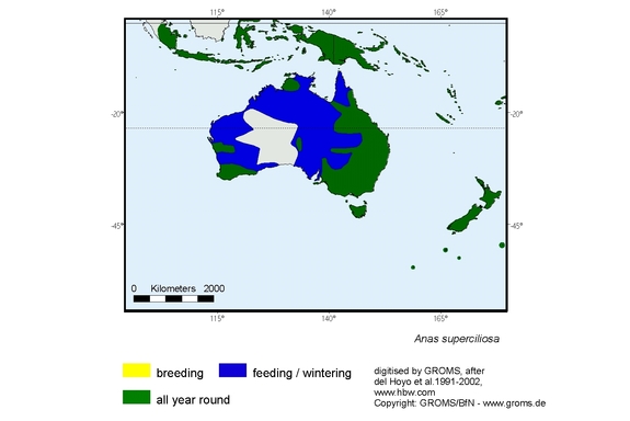 Verbreitungskarte von Anas superciliosa