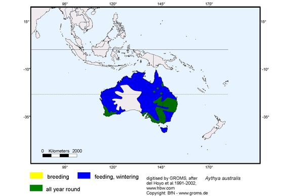 Verbreitungskarte von Aythya australis