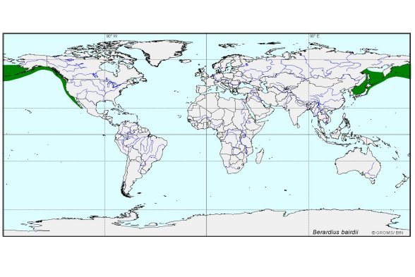 Verbreitungskarte von Berardius bairdii