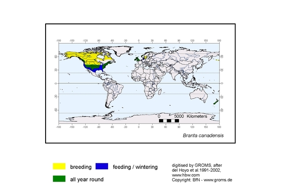 Verbreitungskarte von Branta canadensis