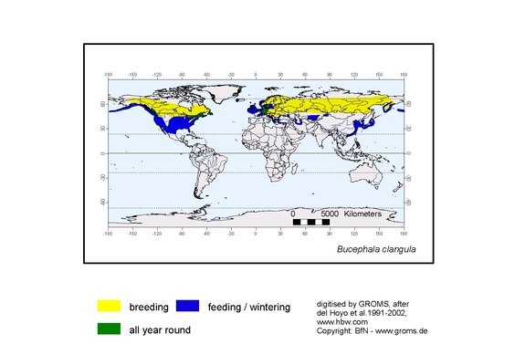 Verbreitungskarte von Bucephala clangula