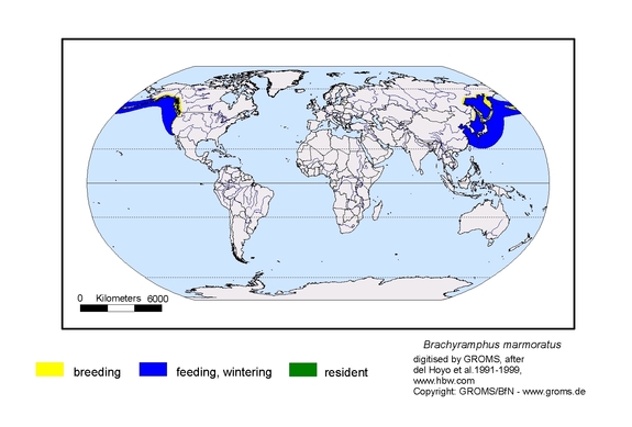 Verbreitungskarte von Brachyramphus marmoratus