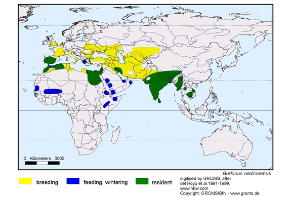 Verbreitungskarte von Burhinus oedicnemus
