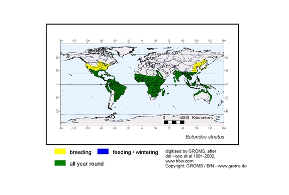 Verbreitungskarte von Butorides striatus