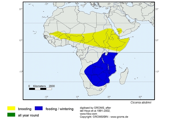 Verbreitungskarte von Ciconia abdimii