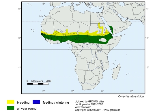 Verbreitungskarte von Coracias abyssinica