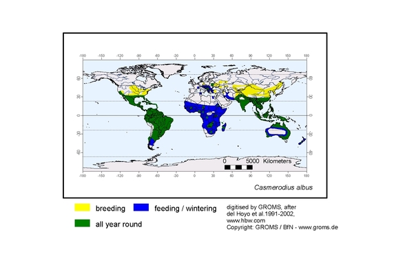 Verbreitungskarte von Casmerodius albus