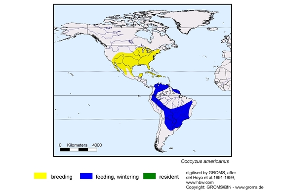 Verbreitungskarte von Coccyzus americanus