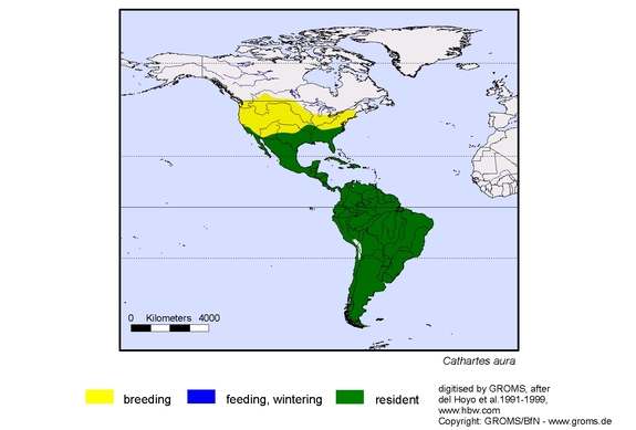 Verbreitungskarte von Cathartes aura