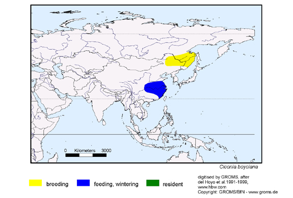 Verbreitungskarte von Ciconia boyciana