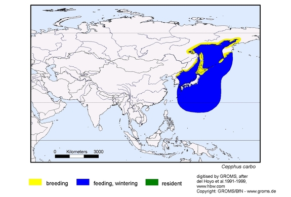 Verbreitungskarte von Cepphus carbo