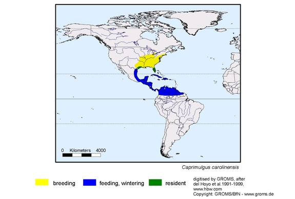 Verbreitungskarte von Caprimulgus carolinensis
