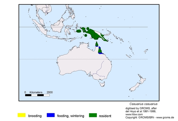 Verbreitungskarte von Casuarius casuarius