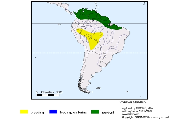 Verbreitungskarte von Chaetura chapmani