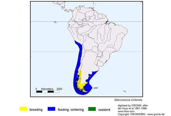 Verbreitungskarte von Stercorarius chilensis